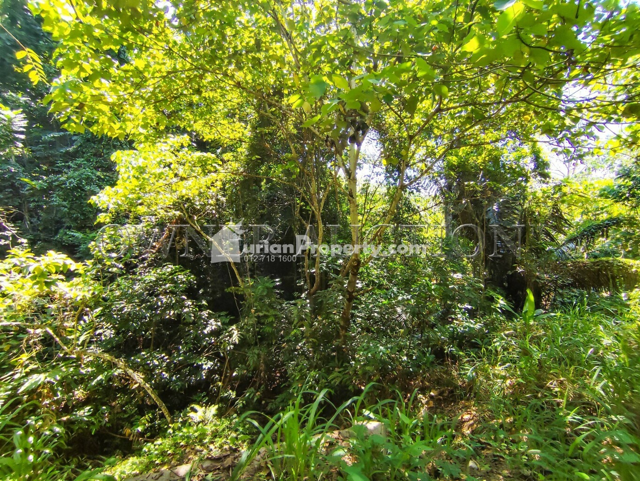 Residential Land For Auction at Lenggong