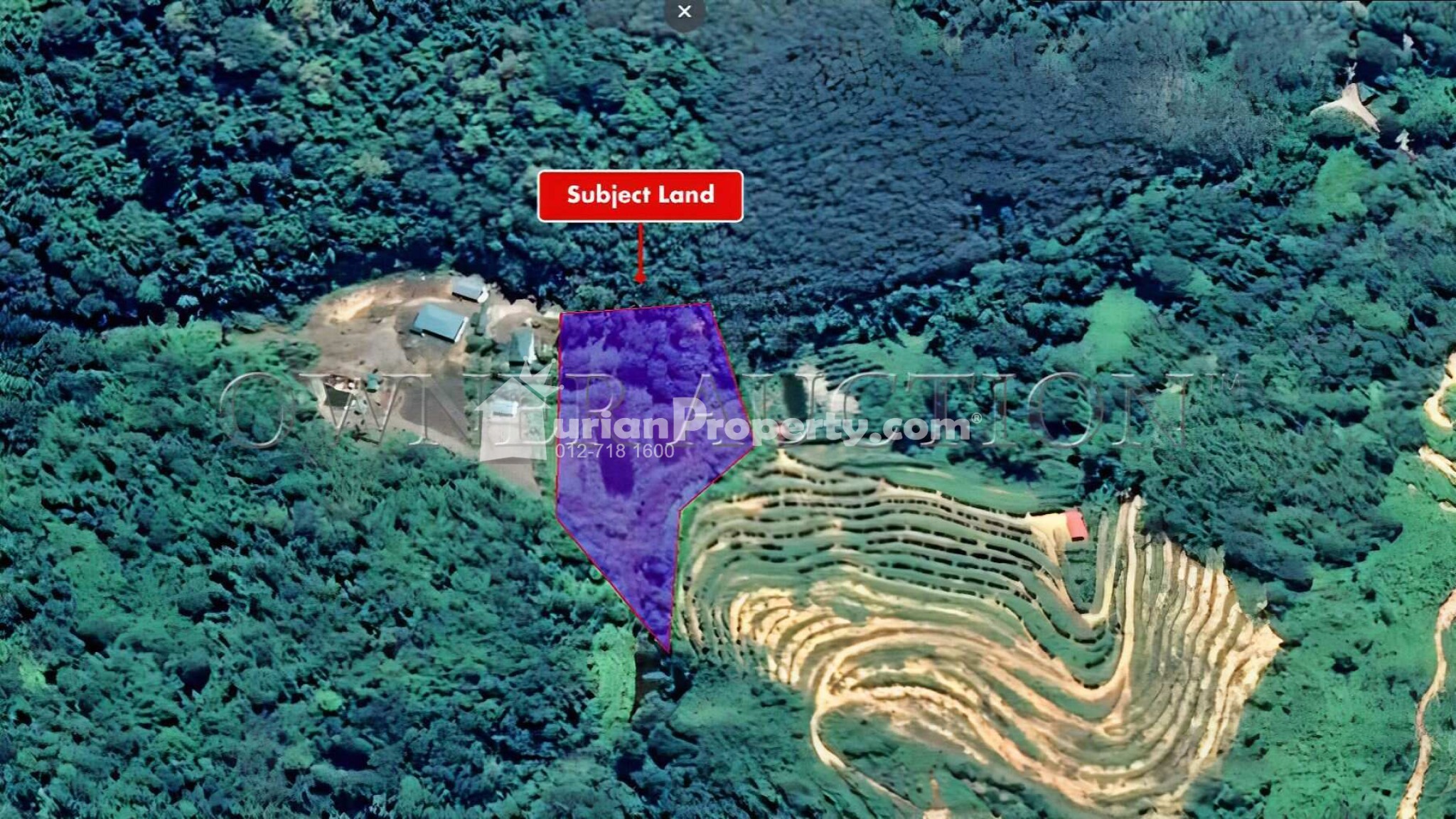 Agriculture Land For Auction at Bentong