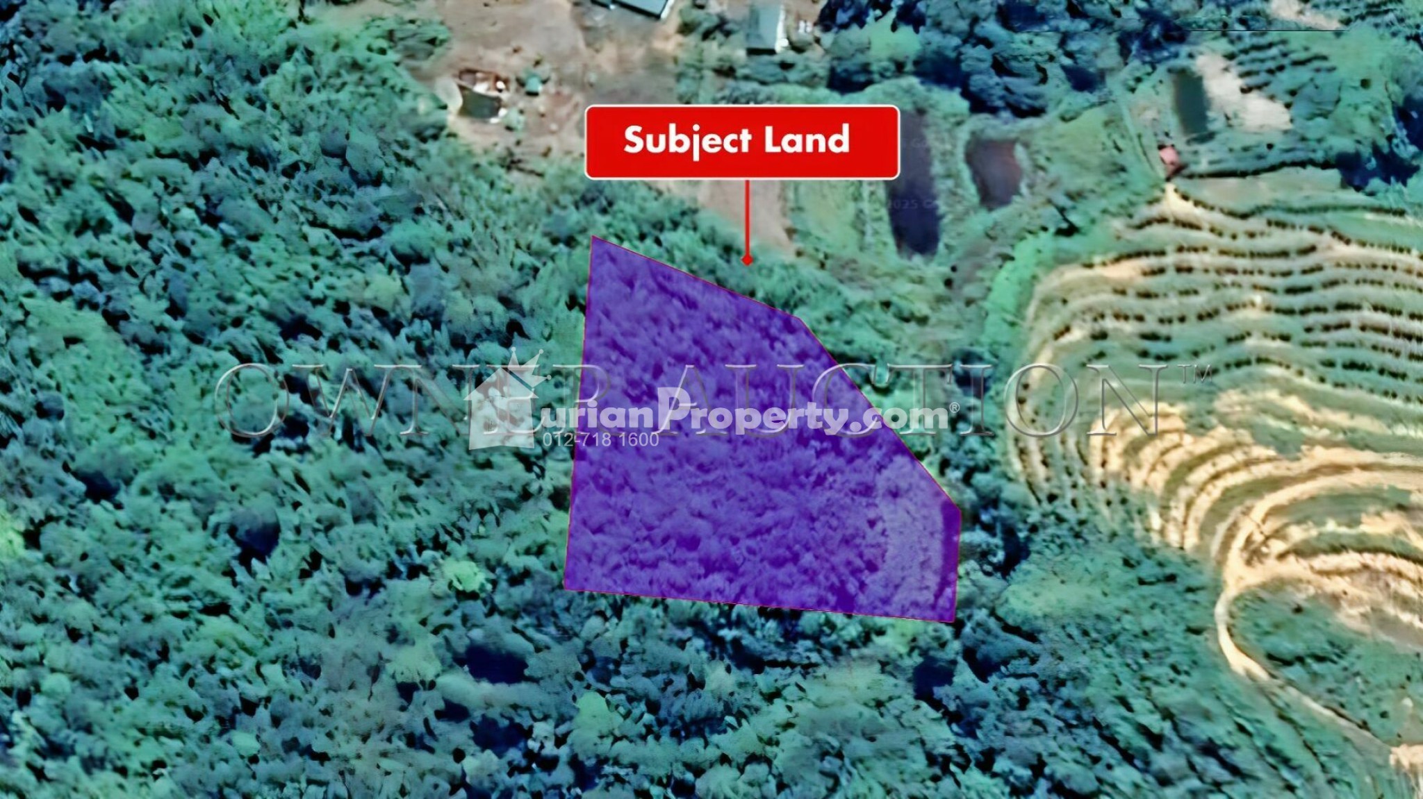 Agriculture Land For Auction at Bentong