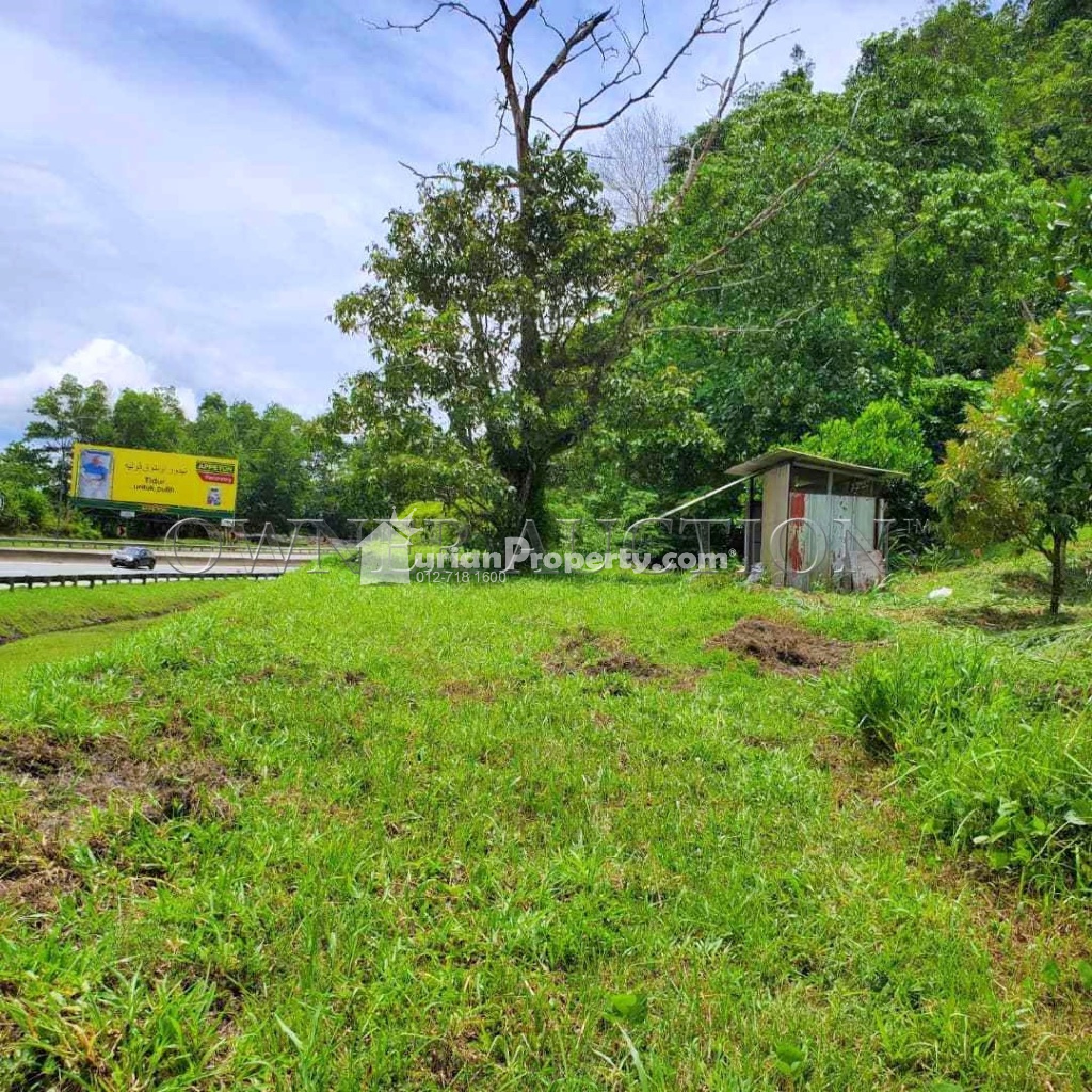 Agriculture Land For Auction at Bentong