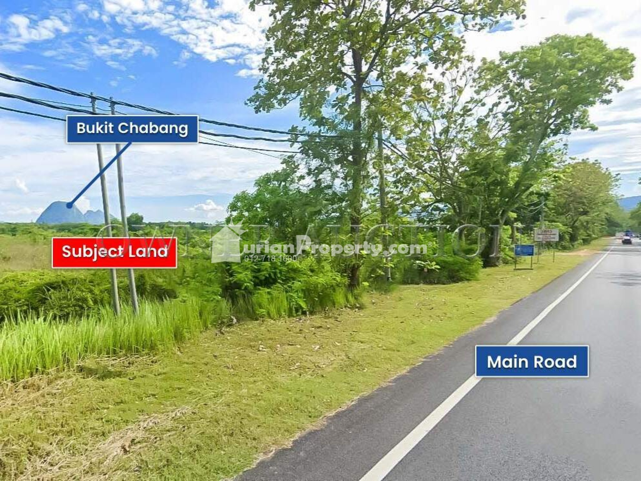 Agriculture Land For Auction at Padang Besar