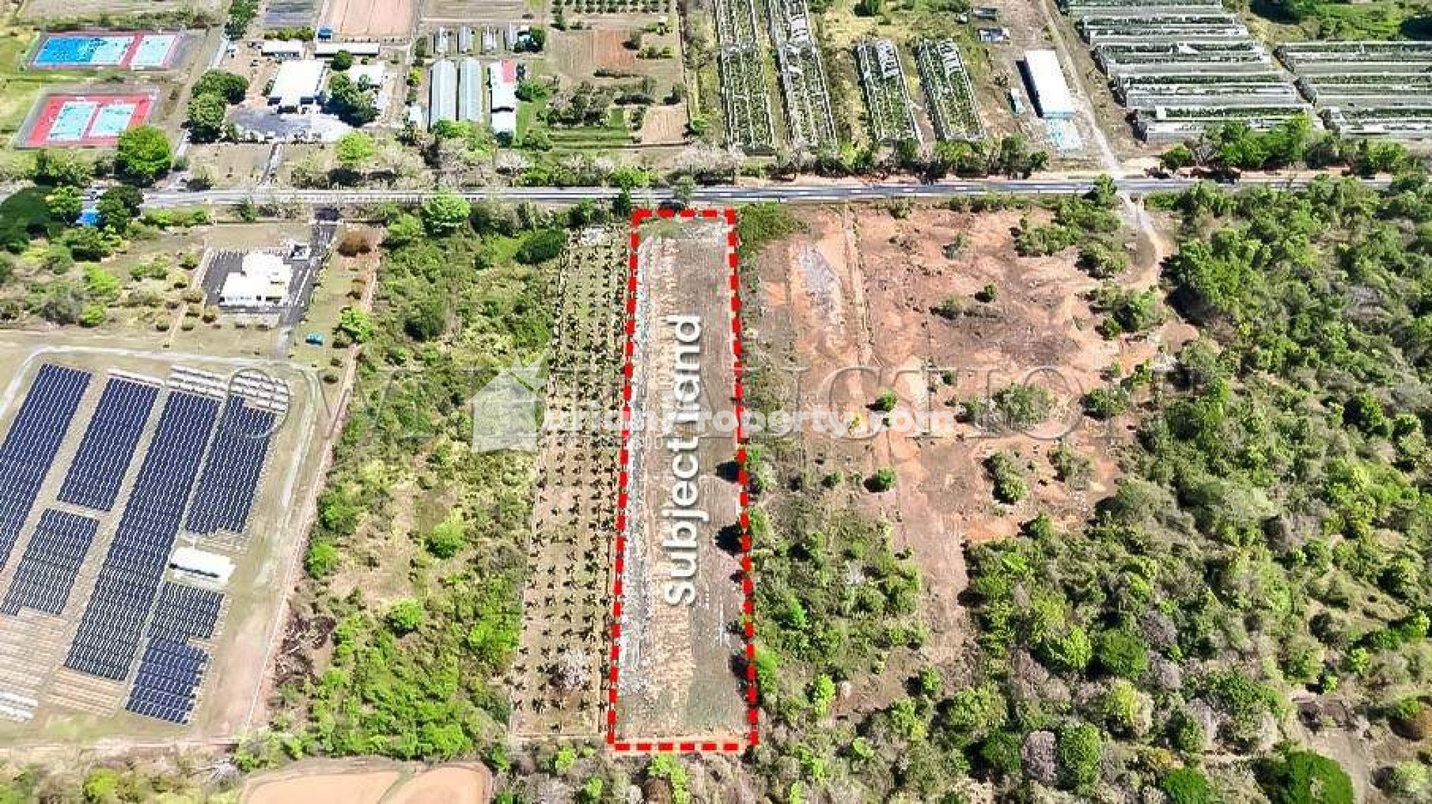 Agriculture Land For Auction at Padang Besar