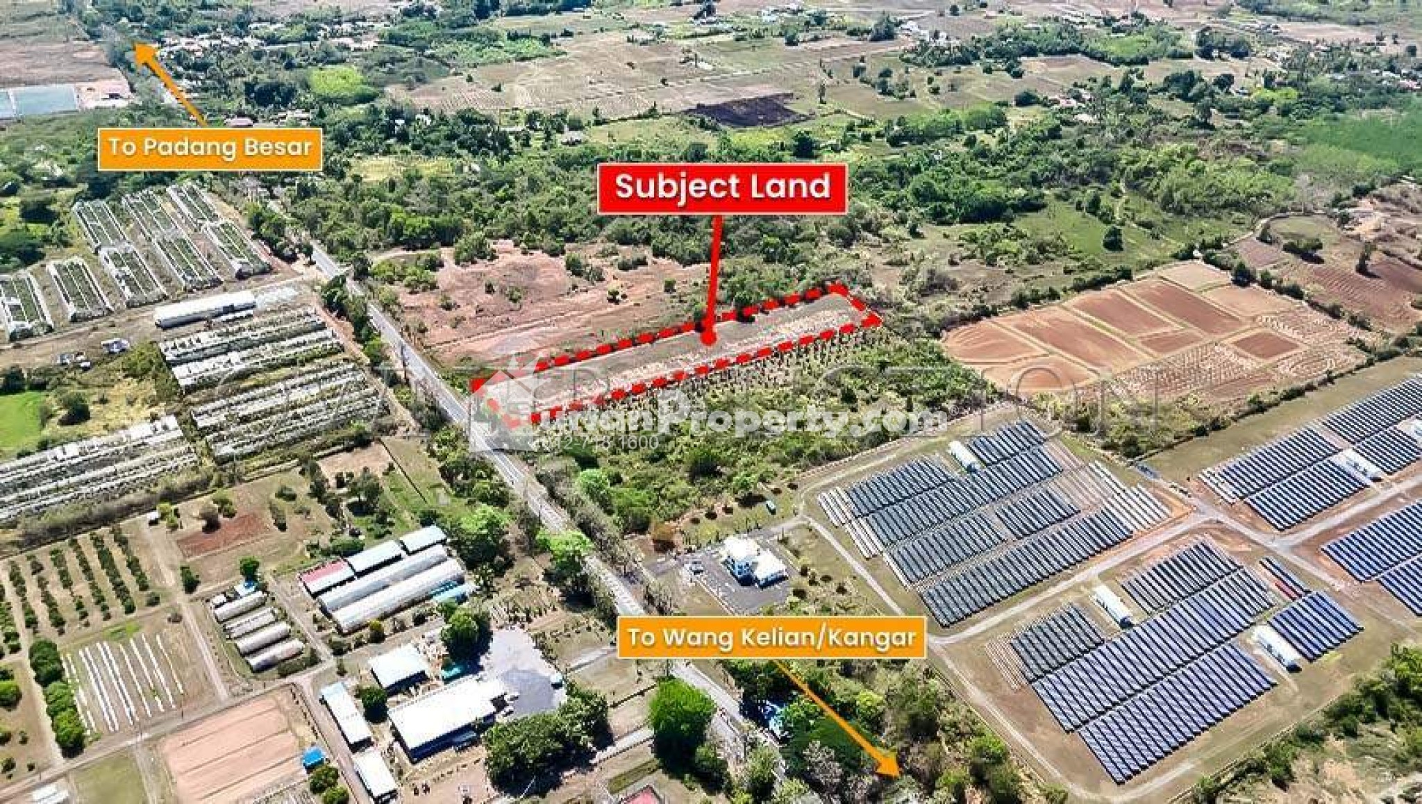 Agriculture Land For Auction at Padang Besar