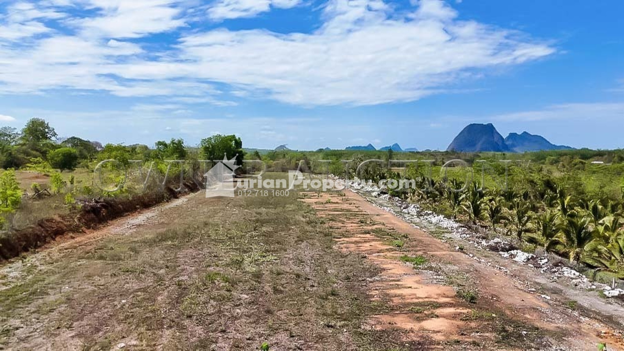 Agriculture Land For Auction at Padang Besar