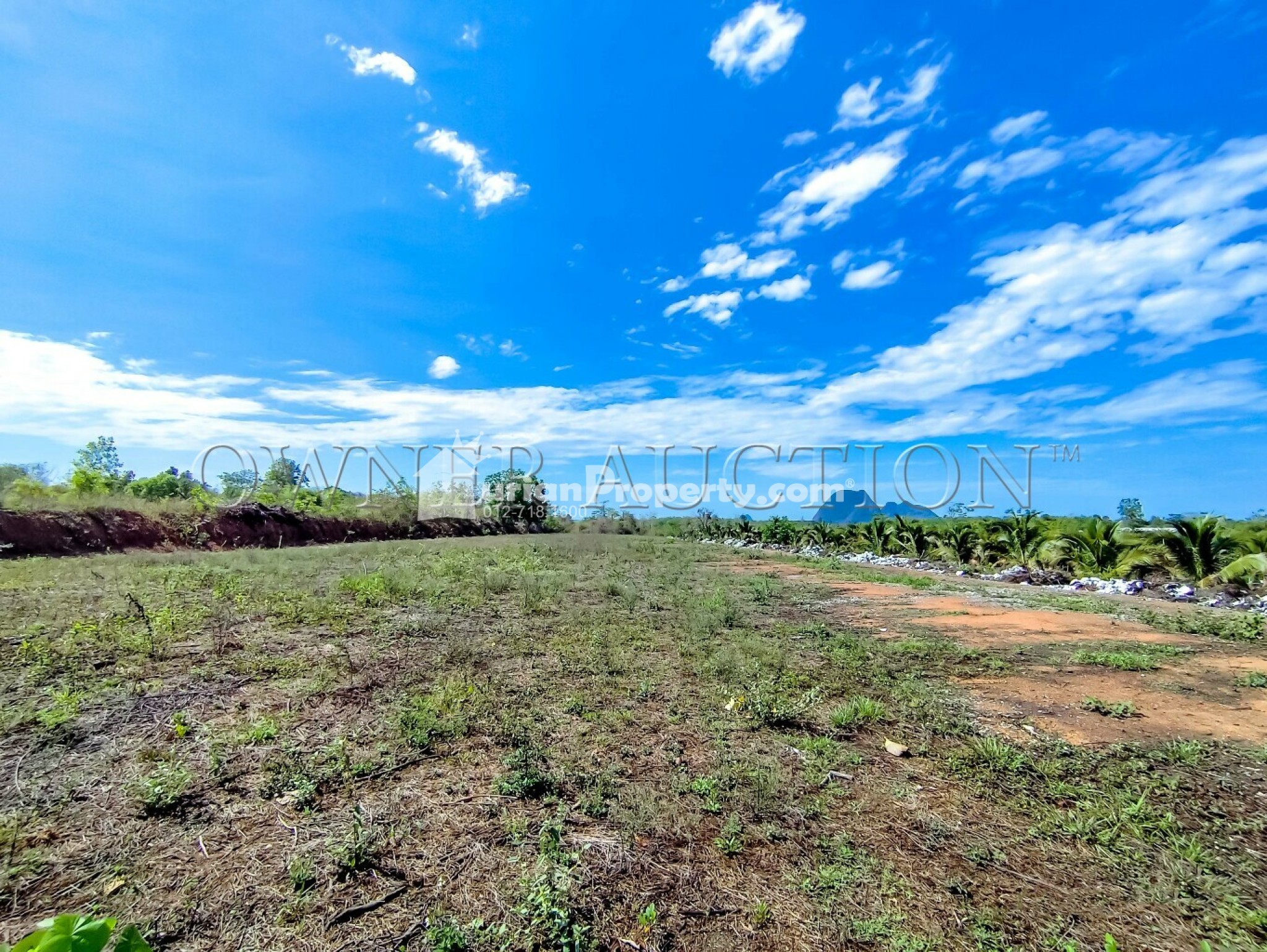 Agriculture Land For Auction at Padang Besar