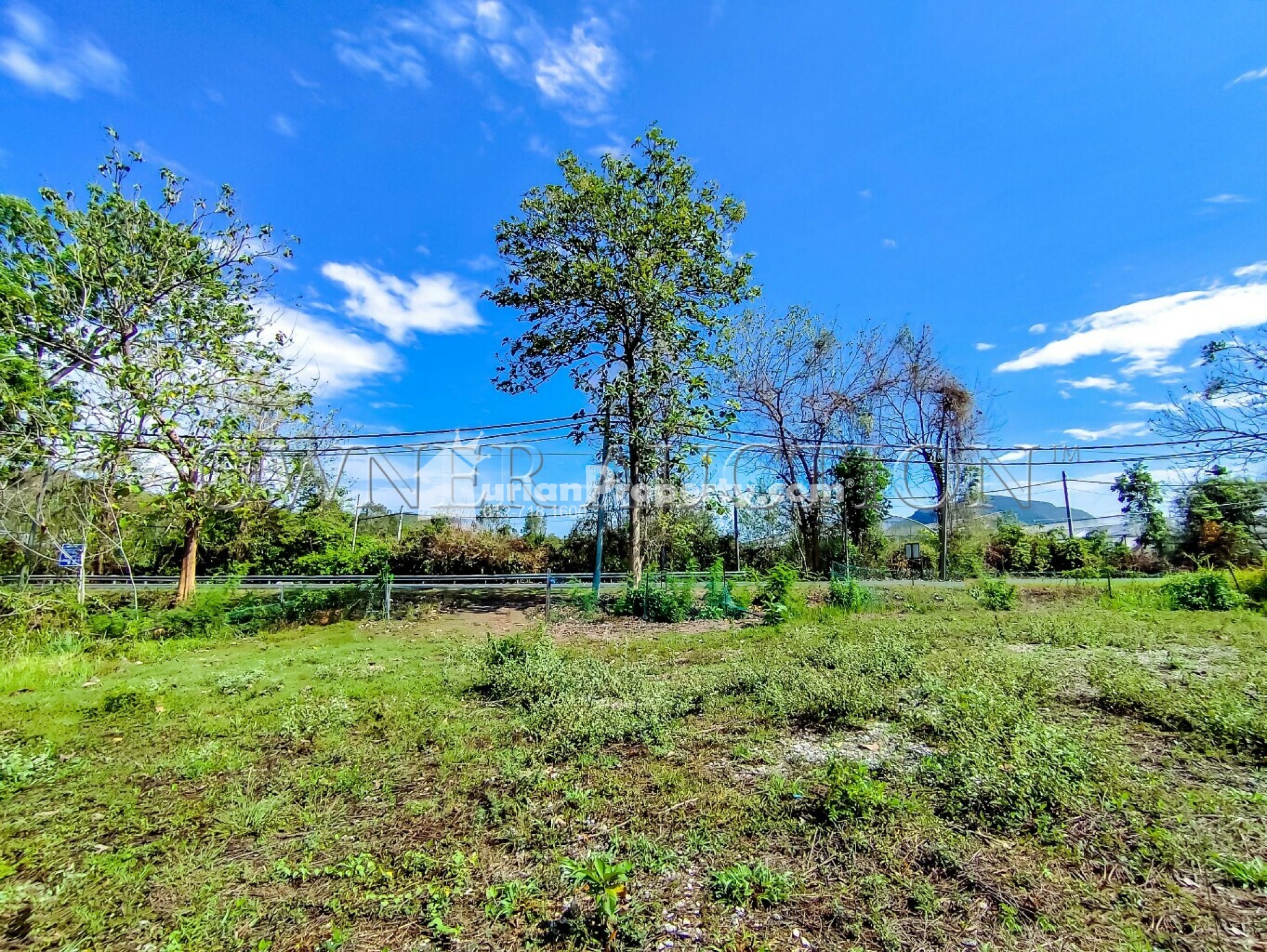 Agriculture Land For Auction at Padang Besar