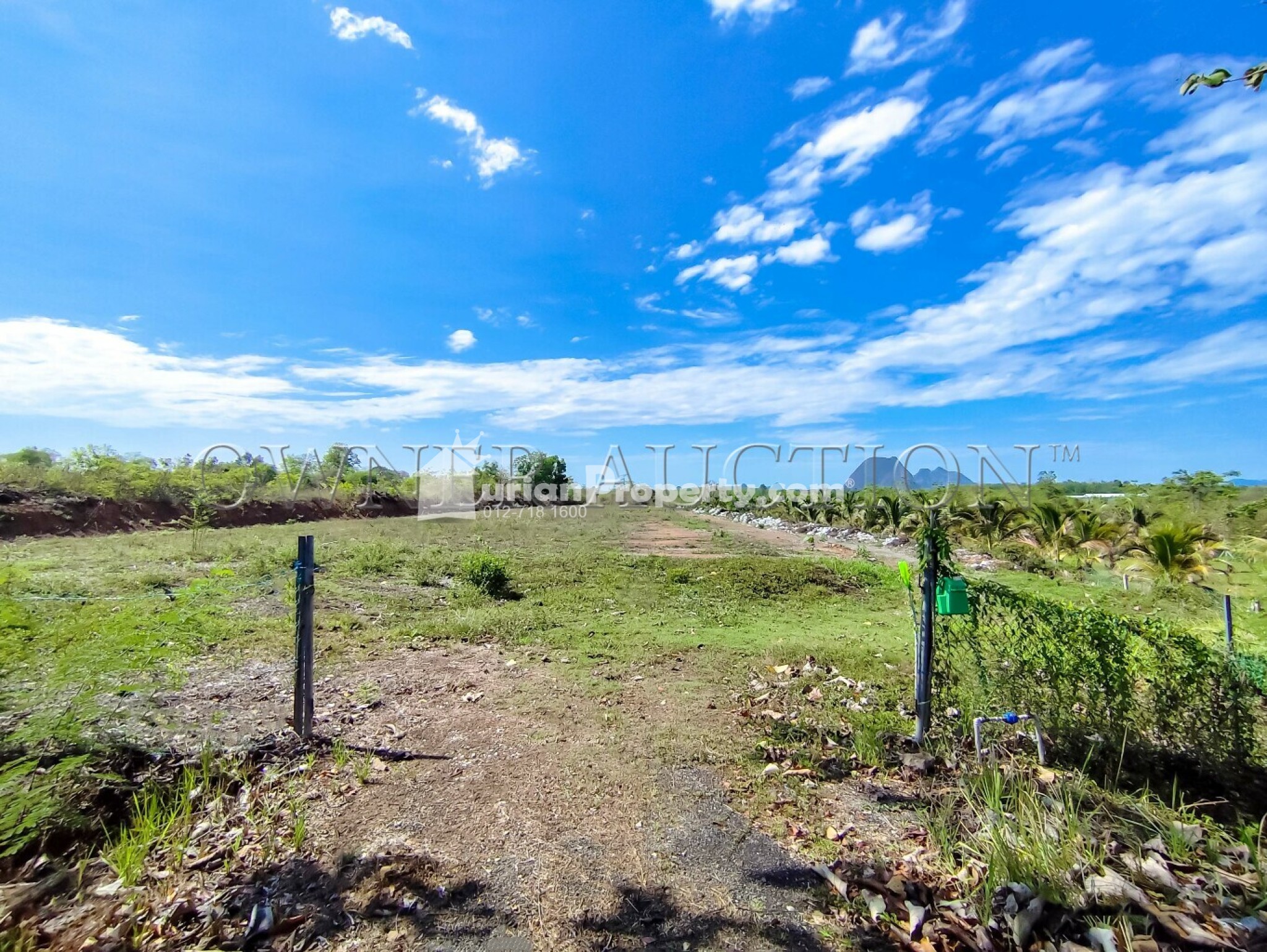 Agriculture Land For Auction at Padang Besar