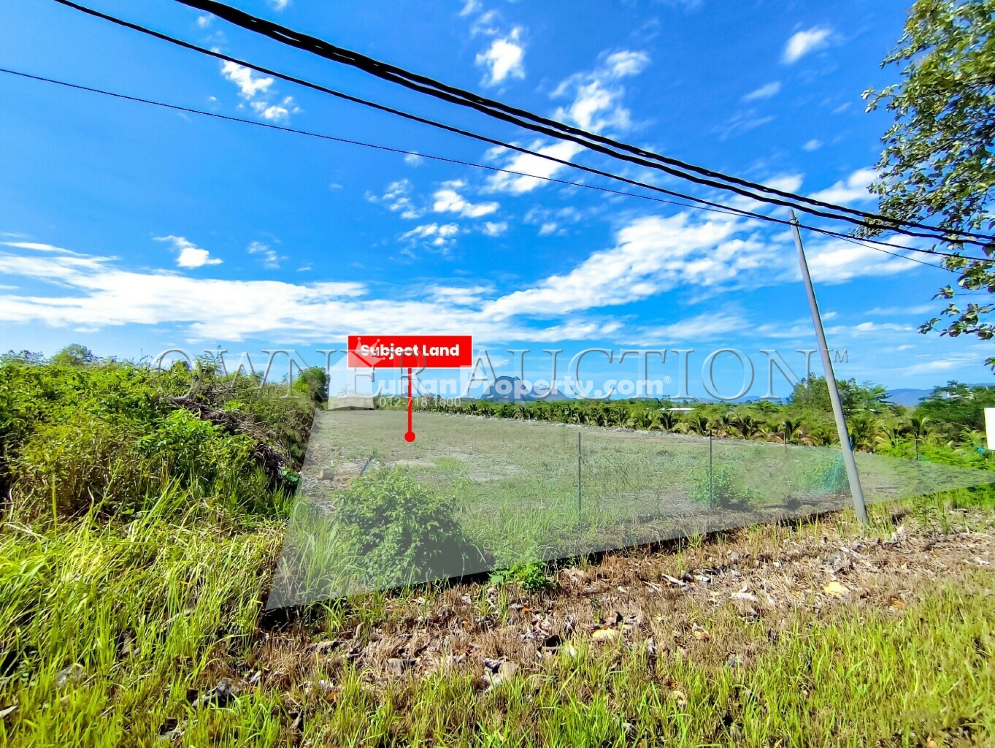 Agriculture Land For Auction at Padang Besar