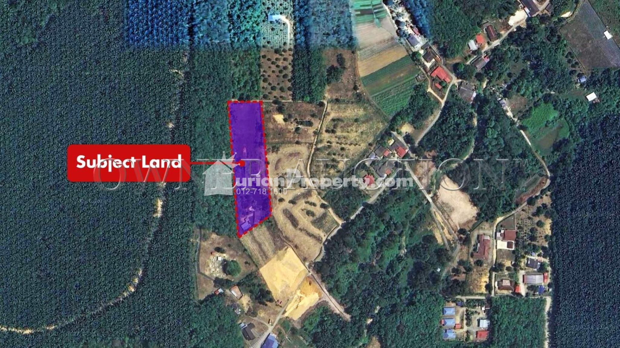 Agriculture Land For Auction at Labu