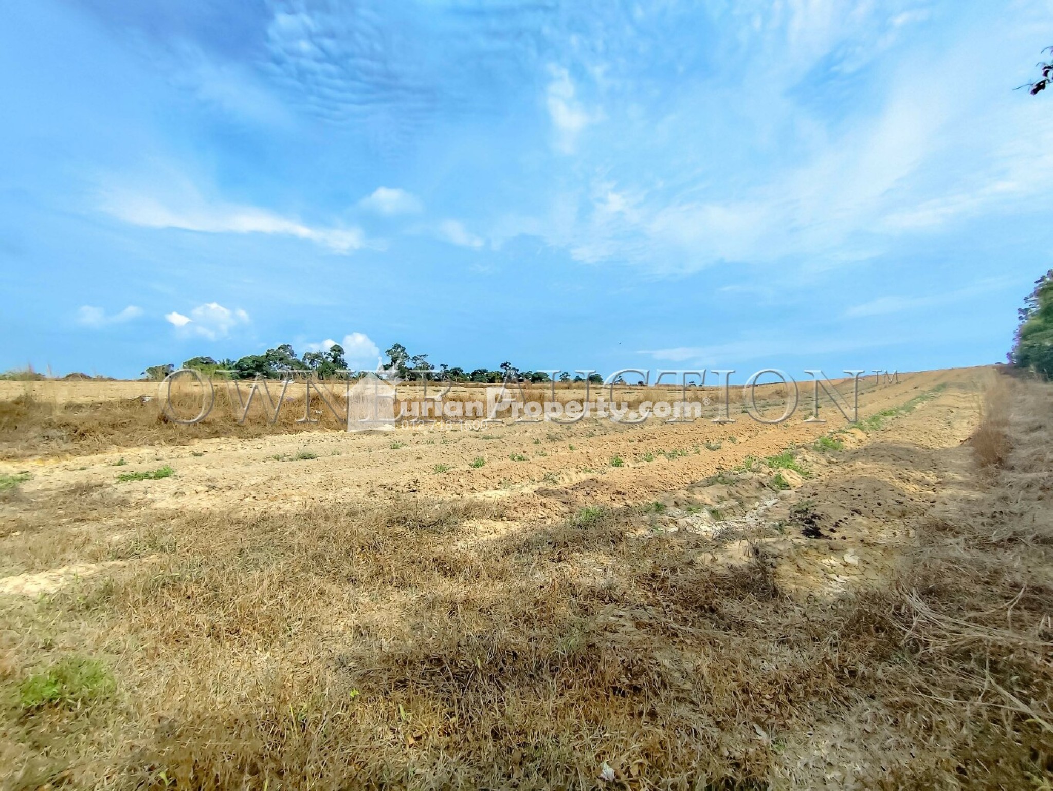 Residential Land For Auction at Bemban