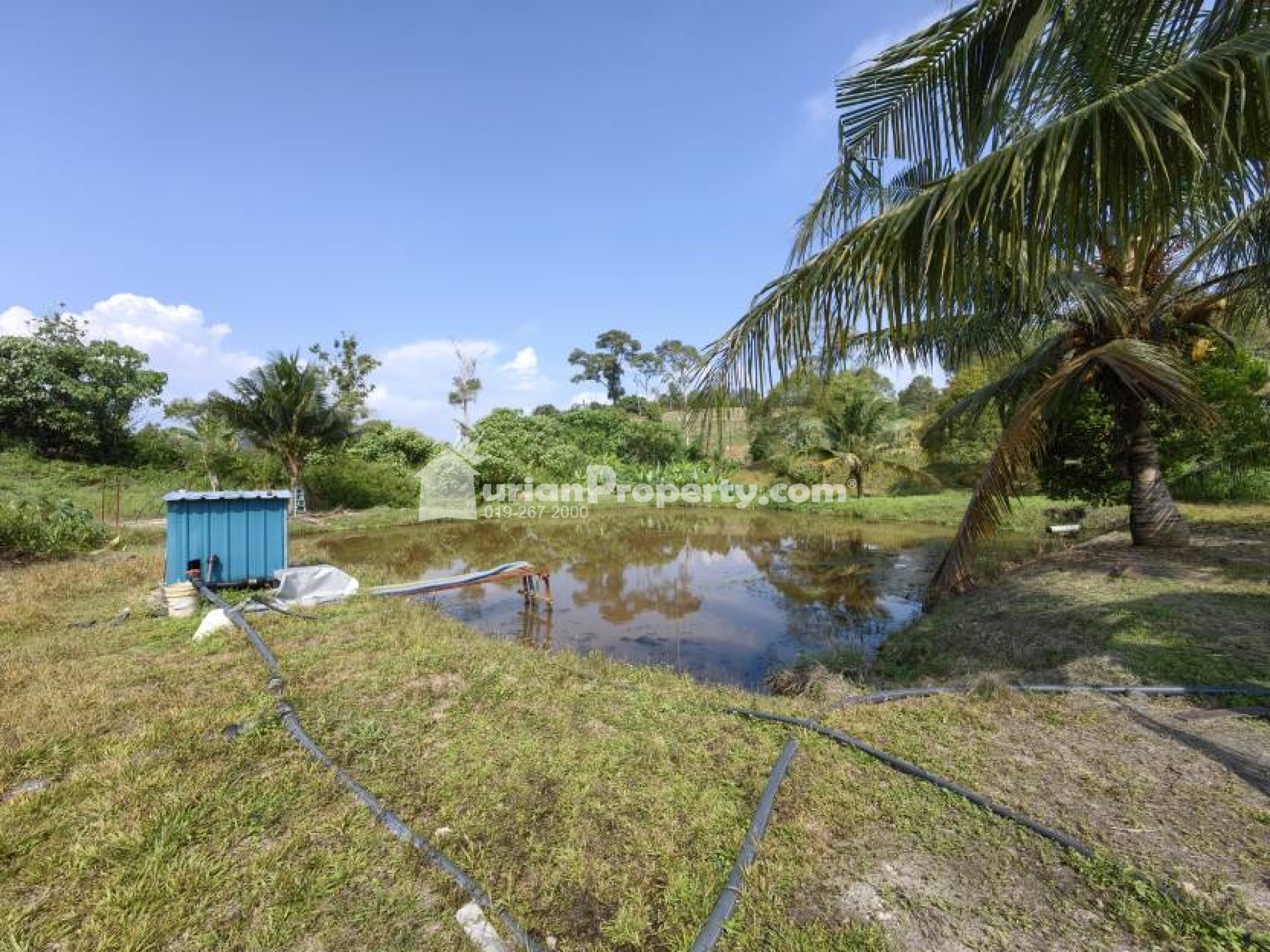 Agriculture Land For Sale at Raub