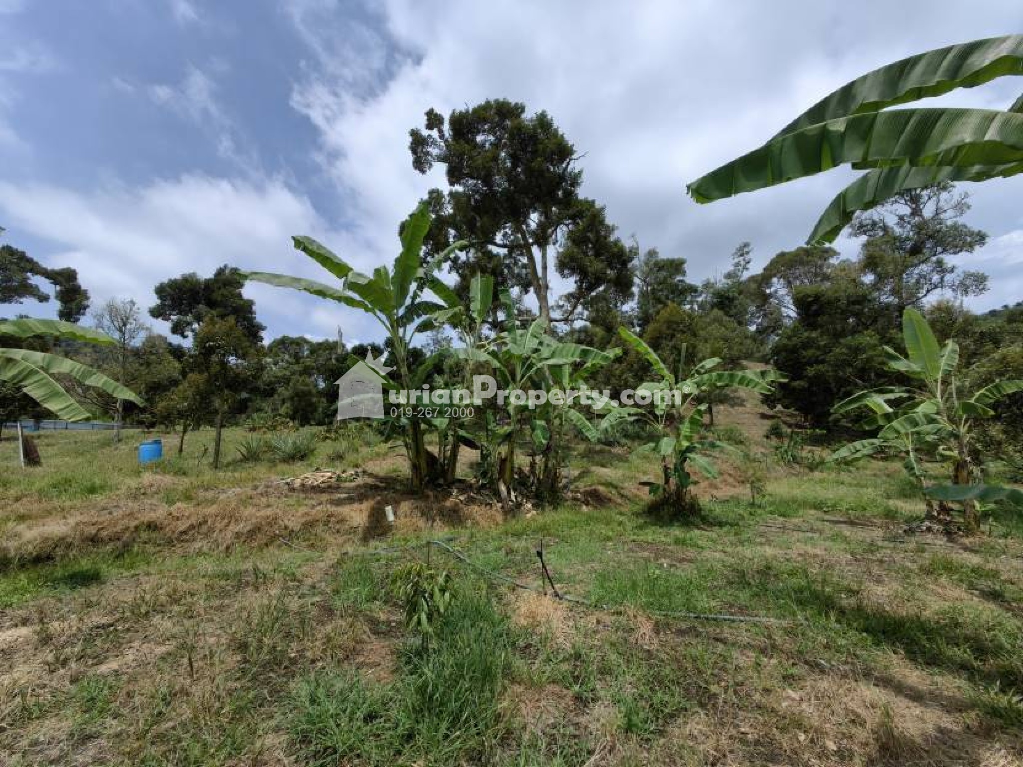 Agriculture Land For Sale at Chenor