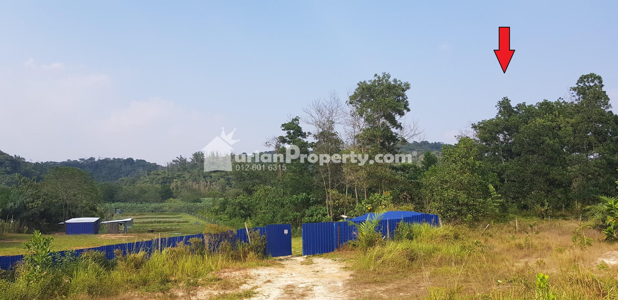 Agriculture Land For Rent at Rawang