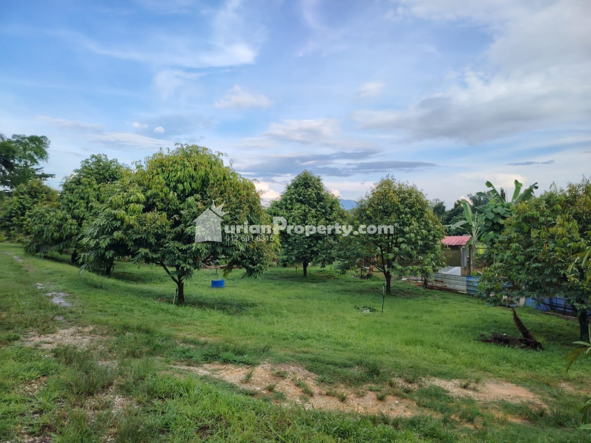 Agriculture Land For Sale at Rawang