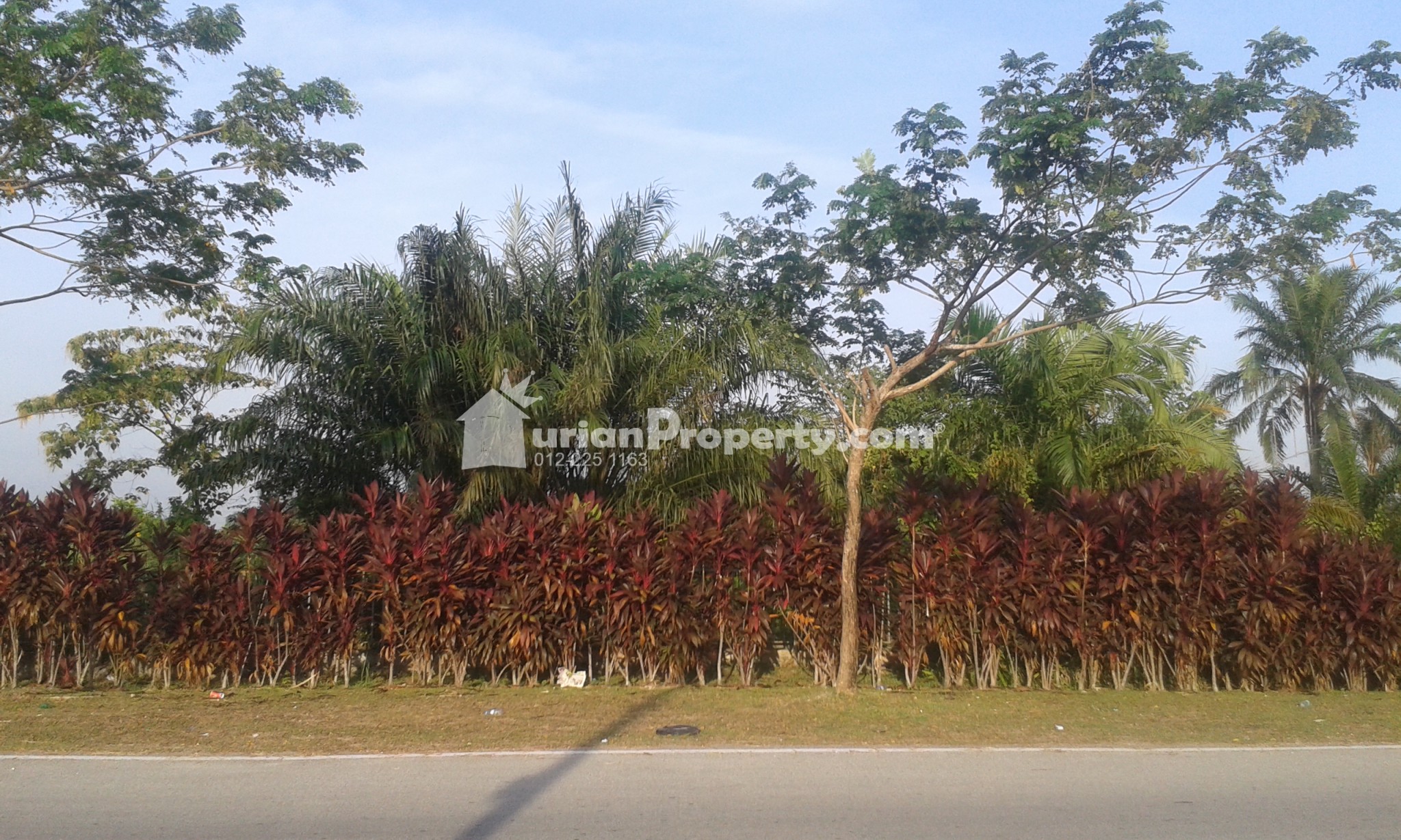 Industrial Land For Sale at Sepang