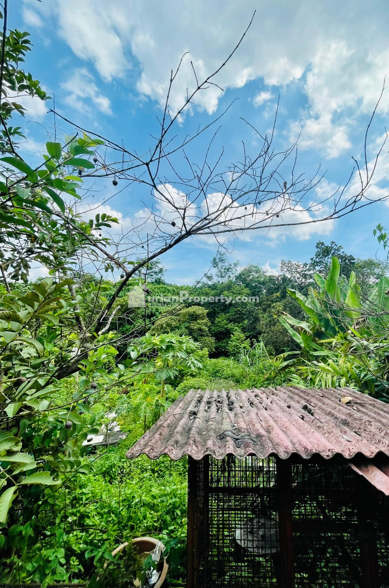Terrace House For Sale at Taman Desa Permai