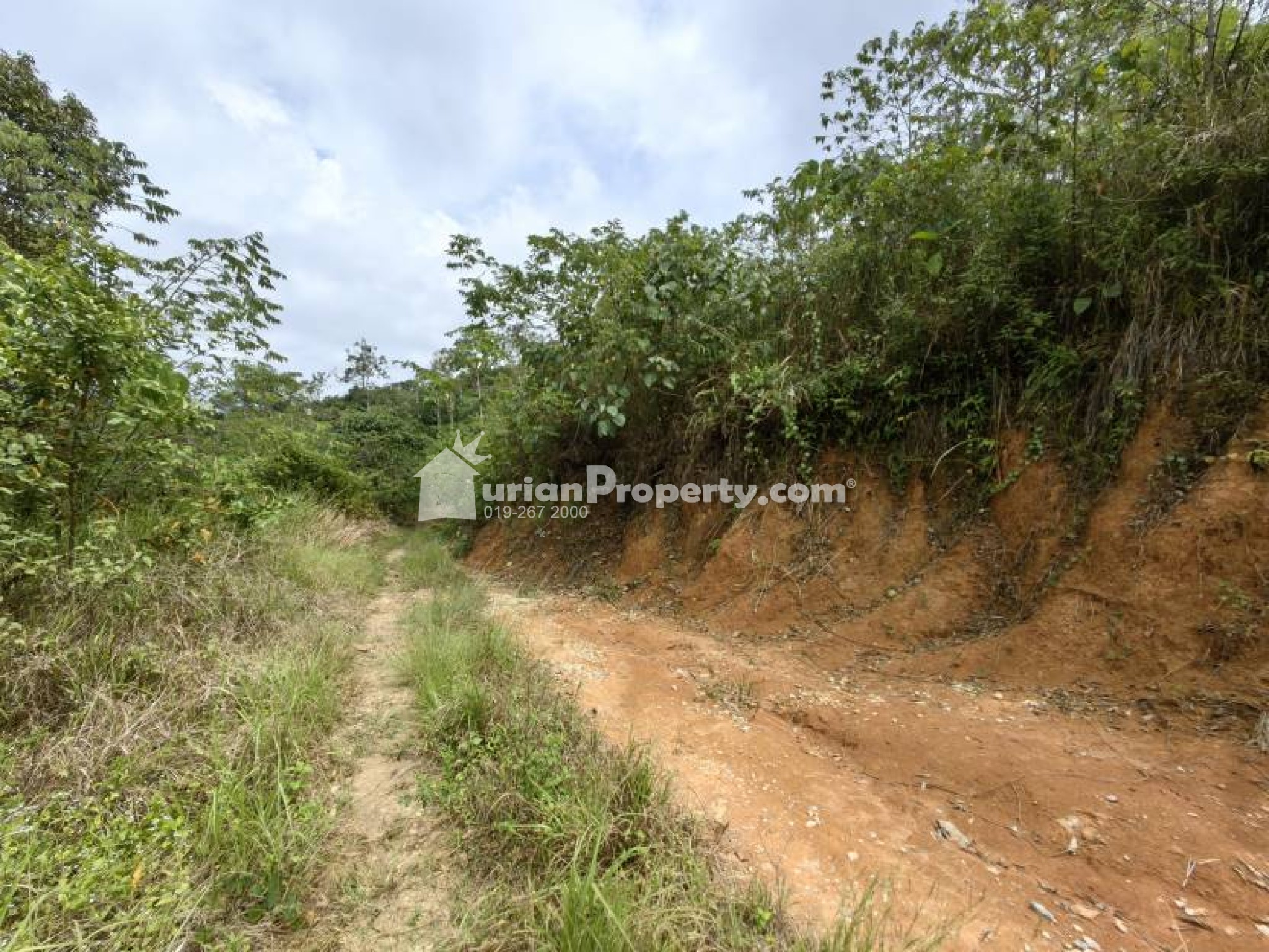 Agriculture Land For Sale at Raub