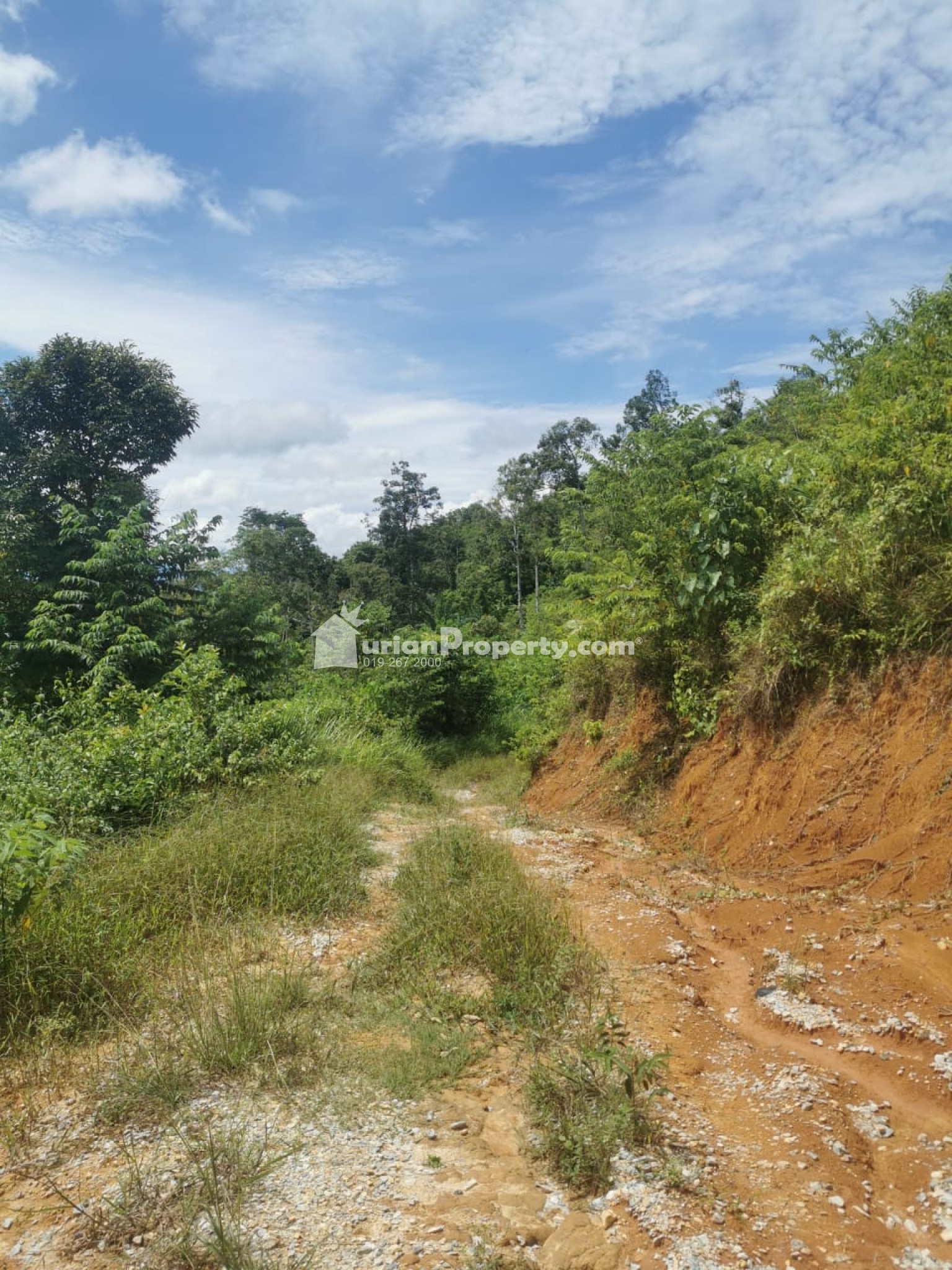 Agriculture Land For Sale at Raub
