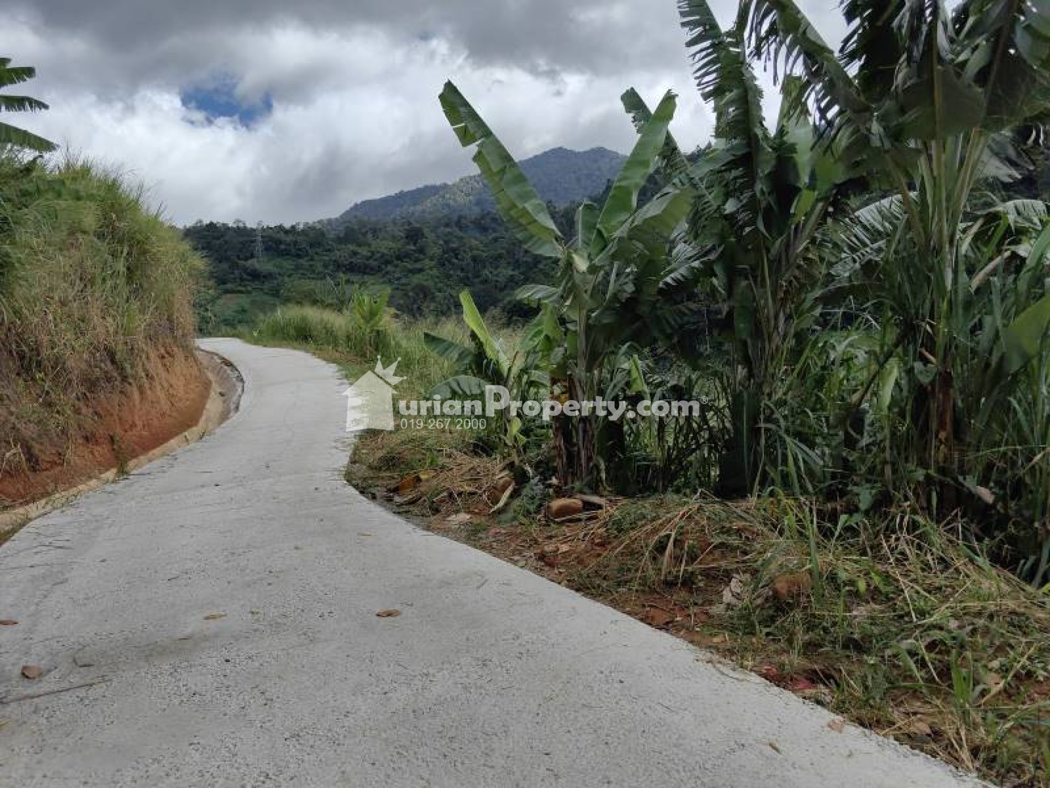 Agriculture Land For Sale at Bukit Tinggi