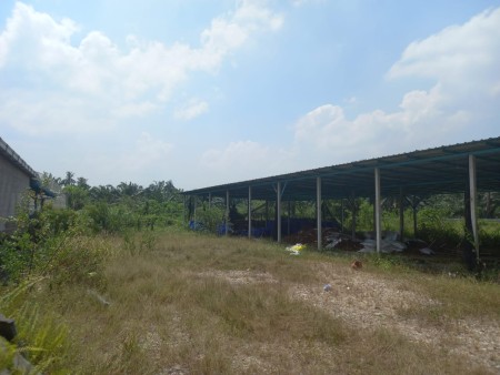 Agriculture Land For Sale at Bukit Rotan