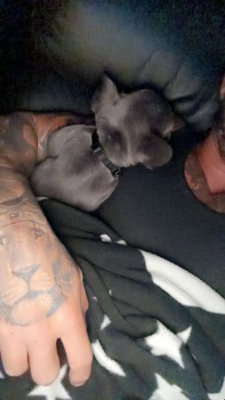 Condo Room for Rent at Damansara City Residency