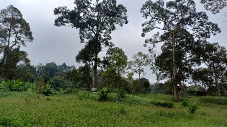 Agriculture Land For Sale at Kuala Lipis