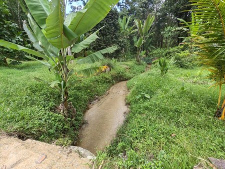 Agriculture Land For Sale at Hulu Langat