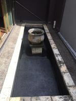 Superlink For Rent at Duta Tropika