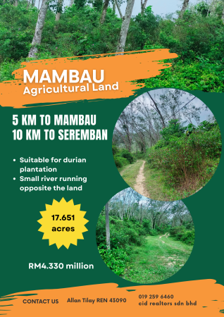 Agriculture Land For Sale at Mambau