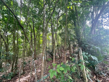 Agriculture Land For Sale at Kuang