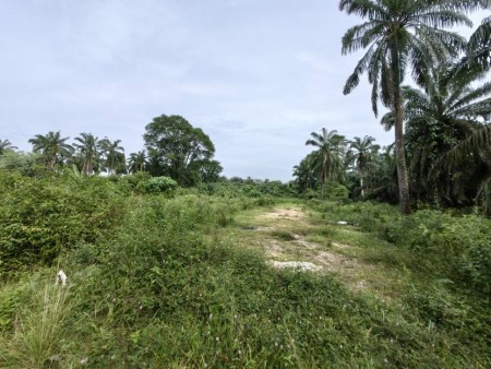 Agriculture Land For Sale at Dengkil