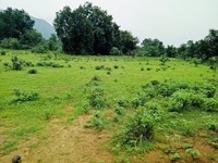 Agriculture Land For Sale at Mentakab, Pahang
