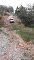 Agriculture Land For Sale at Raub