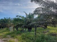 Agriculture Land For Sale at Ulu Yam, Selangor