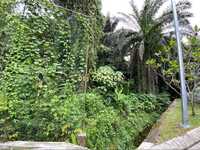 Residential Land For Sale at Kenny Hills, Kuala Lumpur