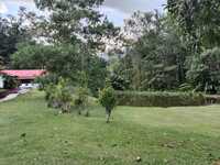 Agriculture Land For Sale at Hulu Langat, Selangor