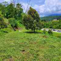 Agriculture Land For Auction at Bentong, Pahang