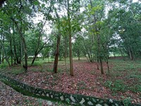 Property for Sale at Putra Heights
