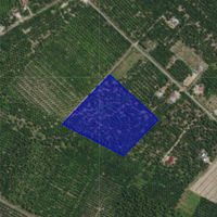 Agriculture Land For Sale at Sabak Bernam