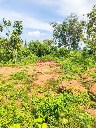 Agriculture Land For Sale at Linggi