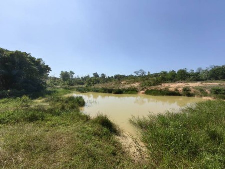 Agriculture Land For Sale at Bestari Jaya