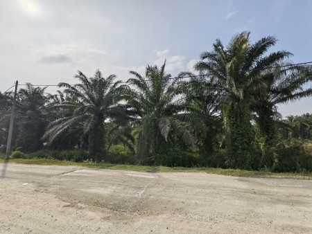 Industrial Land For Sale at Dengkil