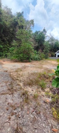 Bungalow Lot For Sale at Kampung Sungai Merab