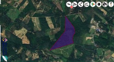 Agriculture Land For Sale at Lenggeng