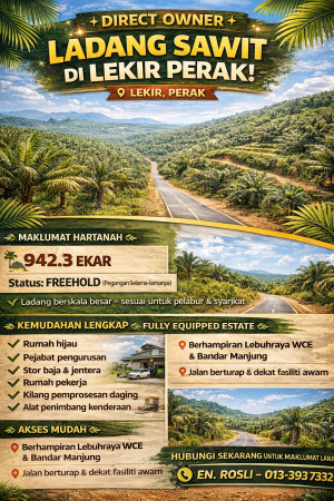 Agriculture Land For Sale at Sitiawan
