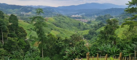 Agriculture Land For Sale at Bukit Tinggi