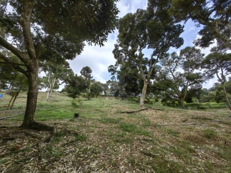 Agriculture Land For Sale at Chenor
