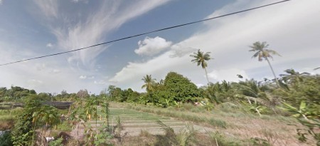 Agriculture Land For Sale at Tasek Gelugor