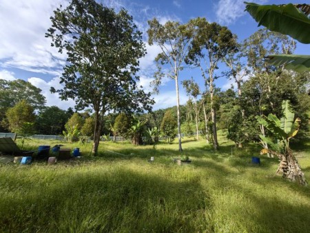 Agriculture Land For Sale at Padang Tengku