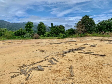 Agriculture Land For Rent at Gambang